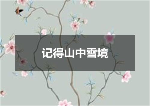 记得山中雪境