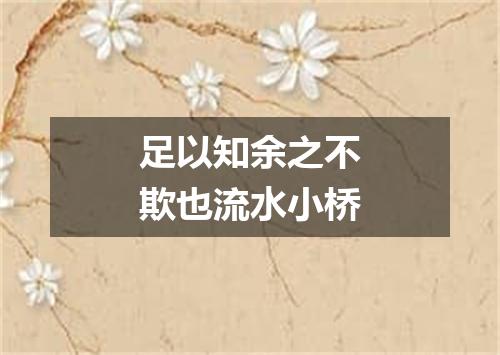 足以知余之不欺也流水小桥