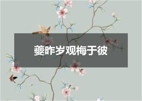 夔昨岁观梅于彼