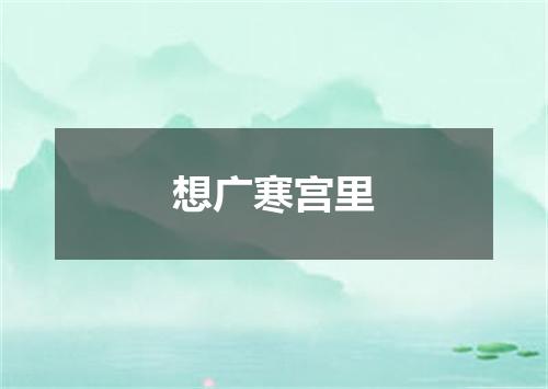 想广寒宫里