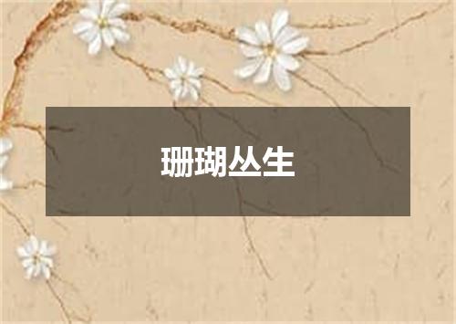 珊瑚丛生