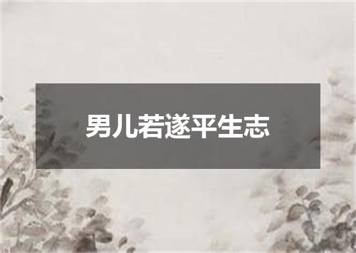 男儿若遂平生志