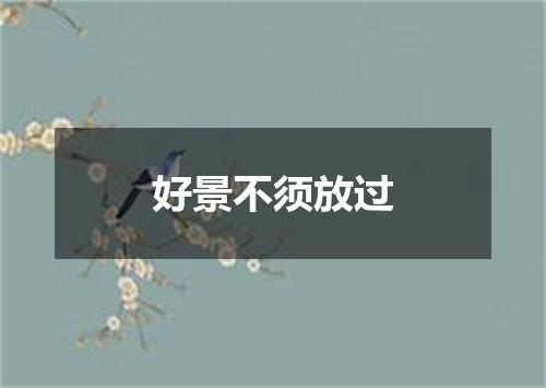 好景不须放过
