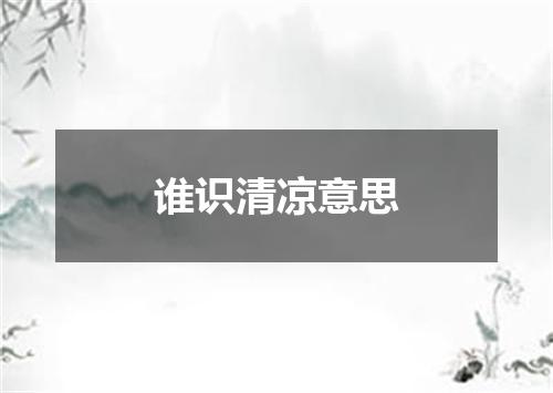 谁识清凉意思