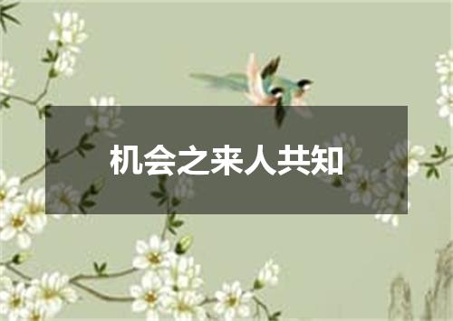 机会之来人共知