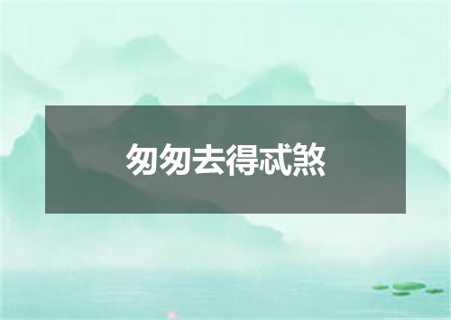 匆匆去得忒煞