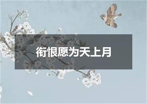 衔恨愿为天上月
