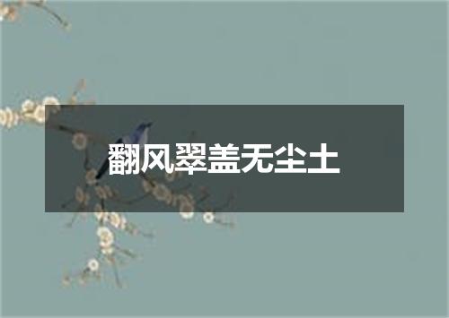 翻风翠盖无尘土