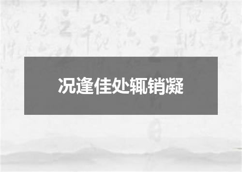 况逢佳处辄销凝