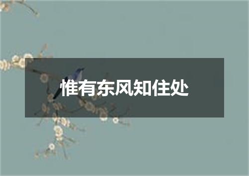 惟有东风知住处