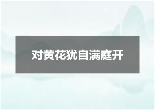 对黄花犹自满庭开