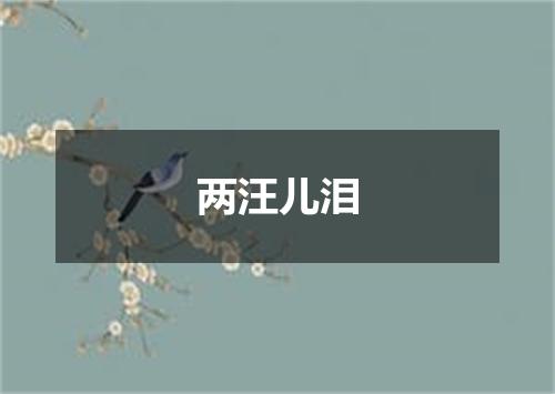 两汪儿泪