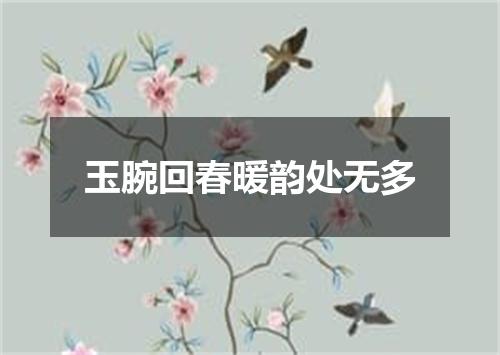 玉腕回春暖韵处无多