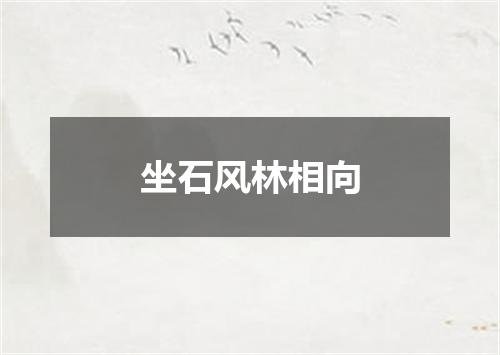 坐石风林相向
