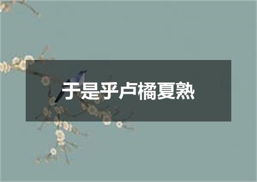 于是乎卢橘夏熟