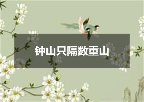 钟山只隔数重山