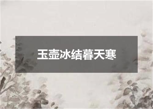 玉壶冰结暮天寒