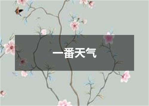 一番天气
