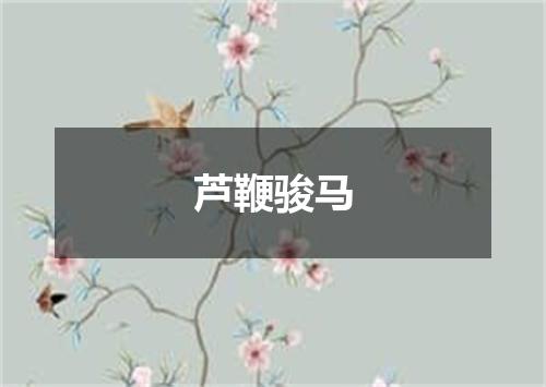 芦鞭骏马