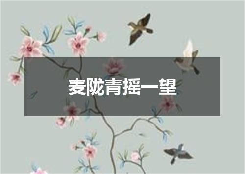 麦陇青摇一望