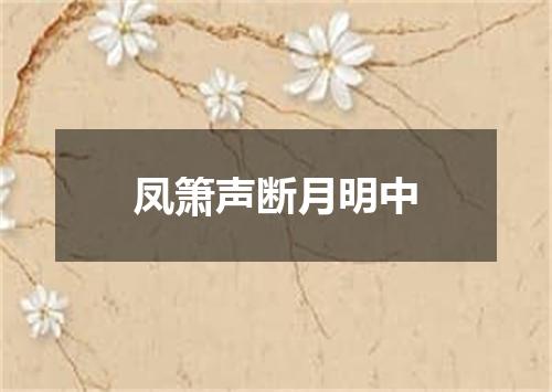 凤箫声断月明中