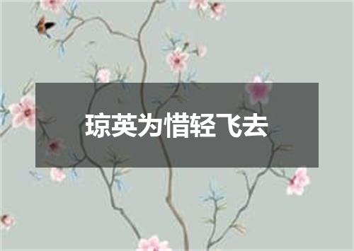 琼英为惜轻飞去