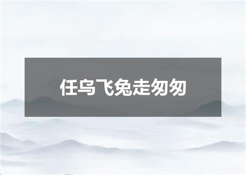 任乌飞兔走匆匆