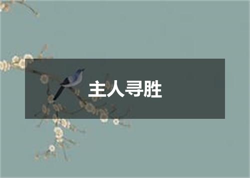 主人寻胜