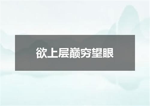 欲上层巅穷望眼