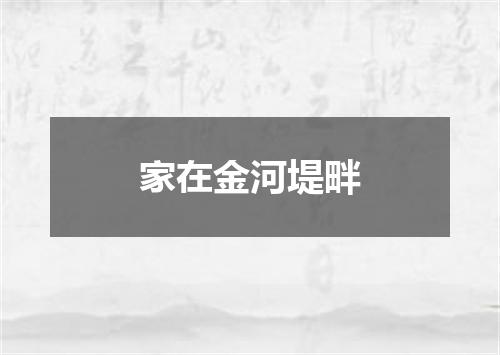 家在金河堤畔
