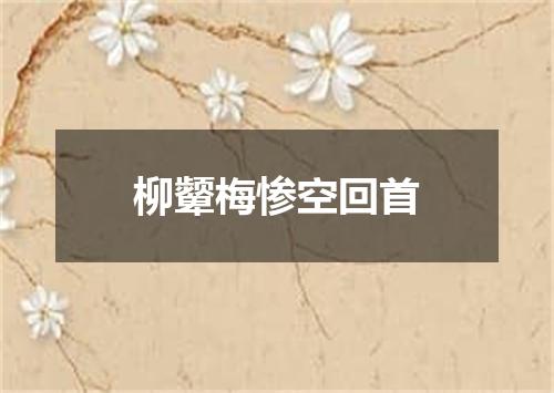柳颦梅惨空回首