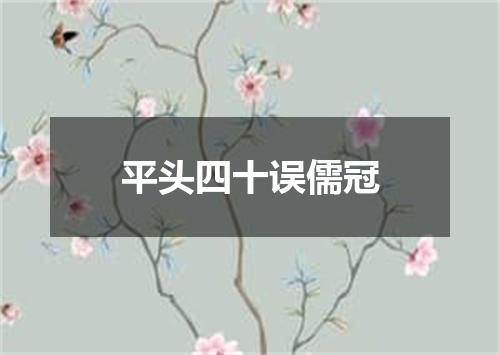 平头四十误儒冠