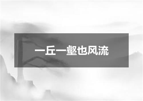 一丘一壑也风流