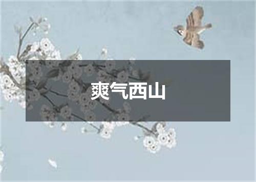 爽气西山