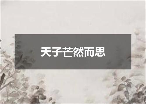 天子芒然而思