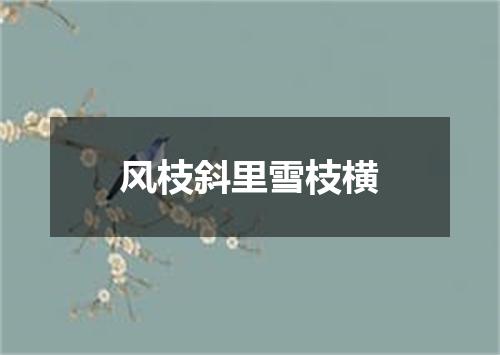风枝斜里雪枝横