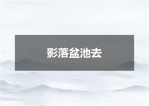影落盆池去