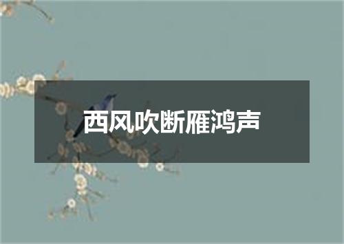 西风吹断雁鸿声