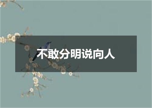不敢分明说向人
