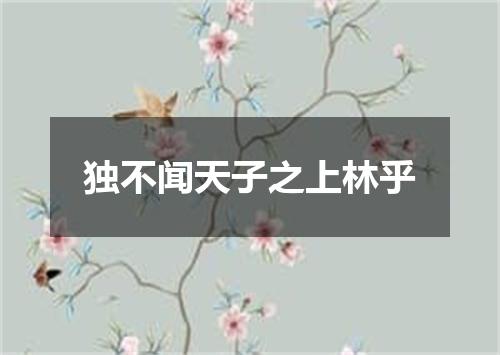 独不闻天子之上林乎