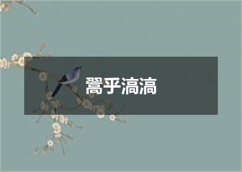 翯乎滈滈