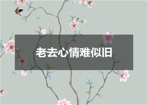老去心情难似旧