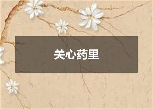 关心药里