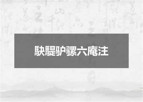 駃騠驴骡六庵注