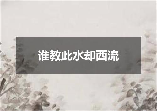 谁教此水却西流