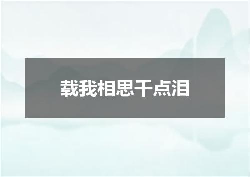 载我相思千点泪