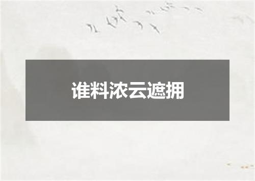 谁料浓云遮拥