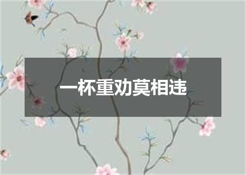 一杯重劝莫相违