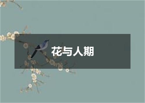 花与人期