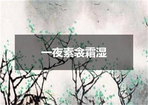 一夜素衾霜湿
